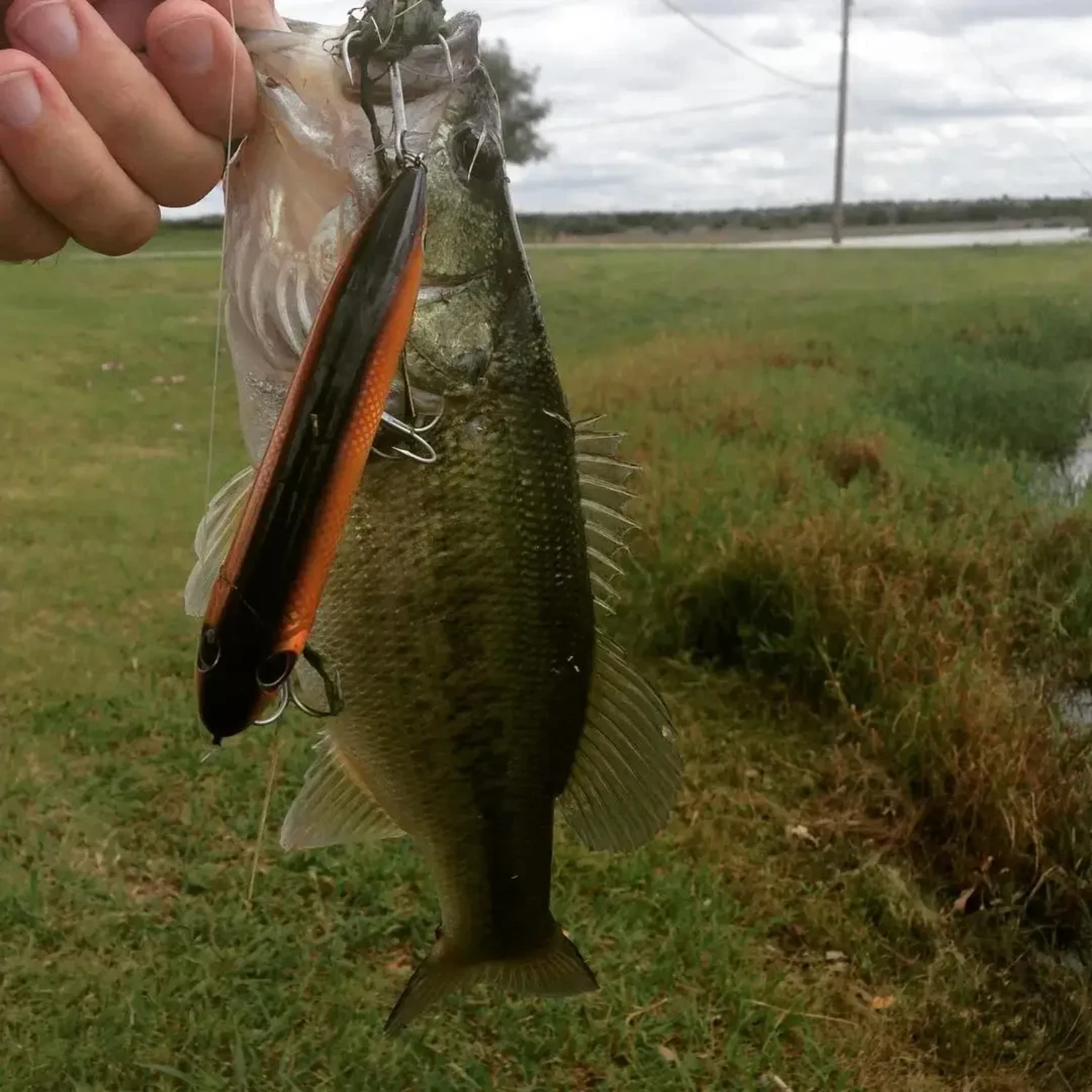 Приманка для ловли морского окуня 2024 Topwater Lure Surface Walk The Dog Bass StickBait WTD Pencil 126 мм 26 г
