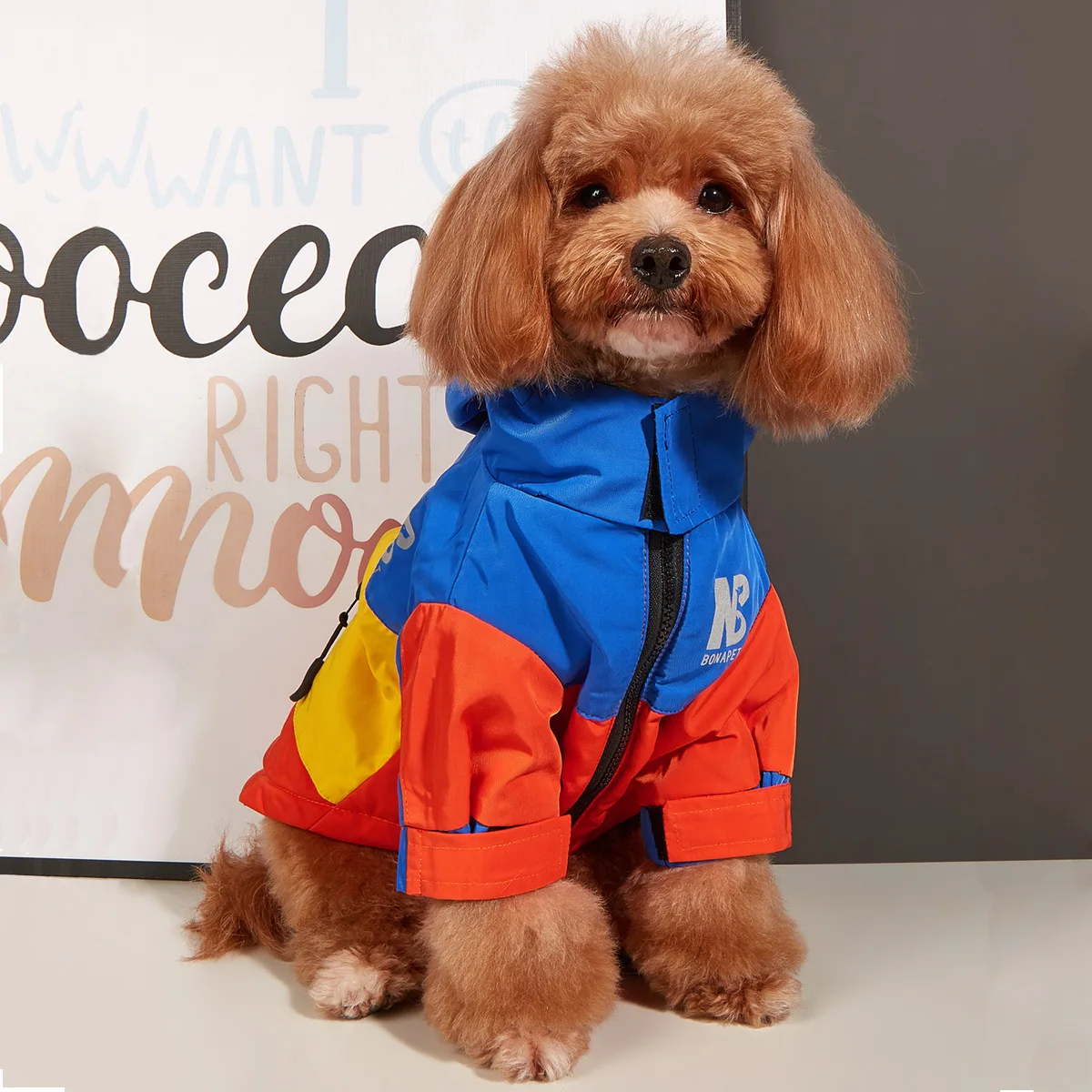 

New Pet Dog Clothes Jacket Winter Waterproof Warm Raincoat Reflective Zipper Trend Clothing