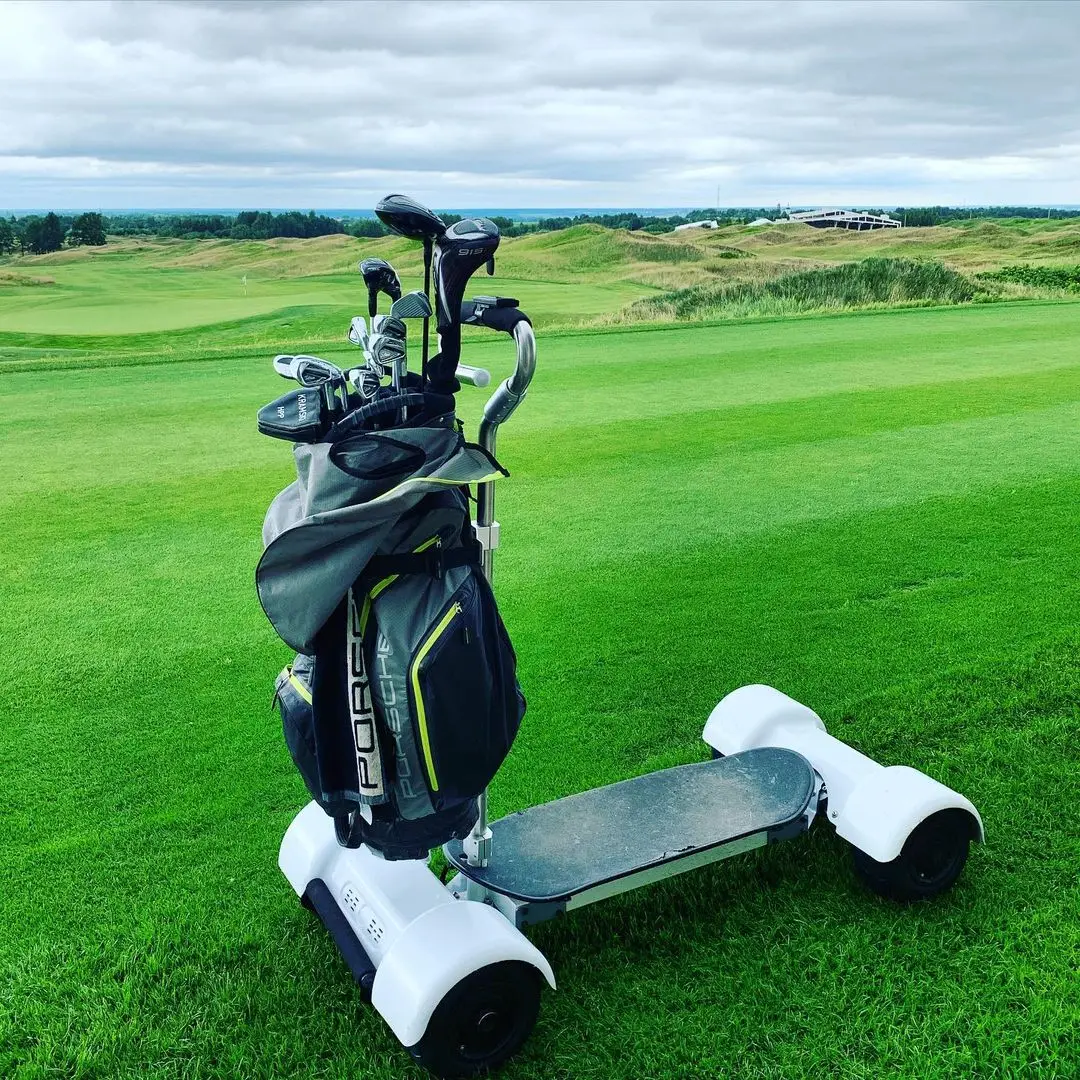Electric Cart 4 Seat 10inch Electric Golf Trolley 2000w