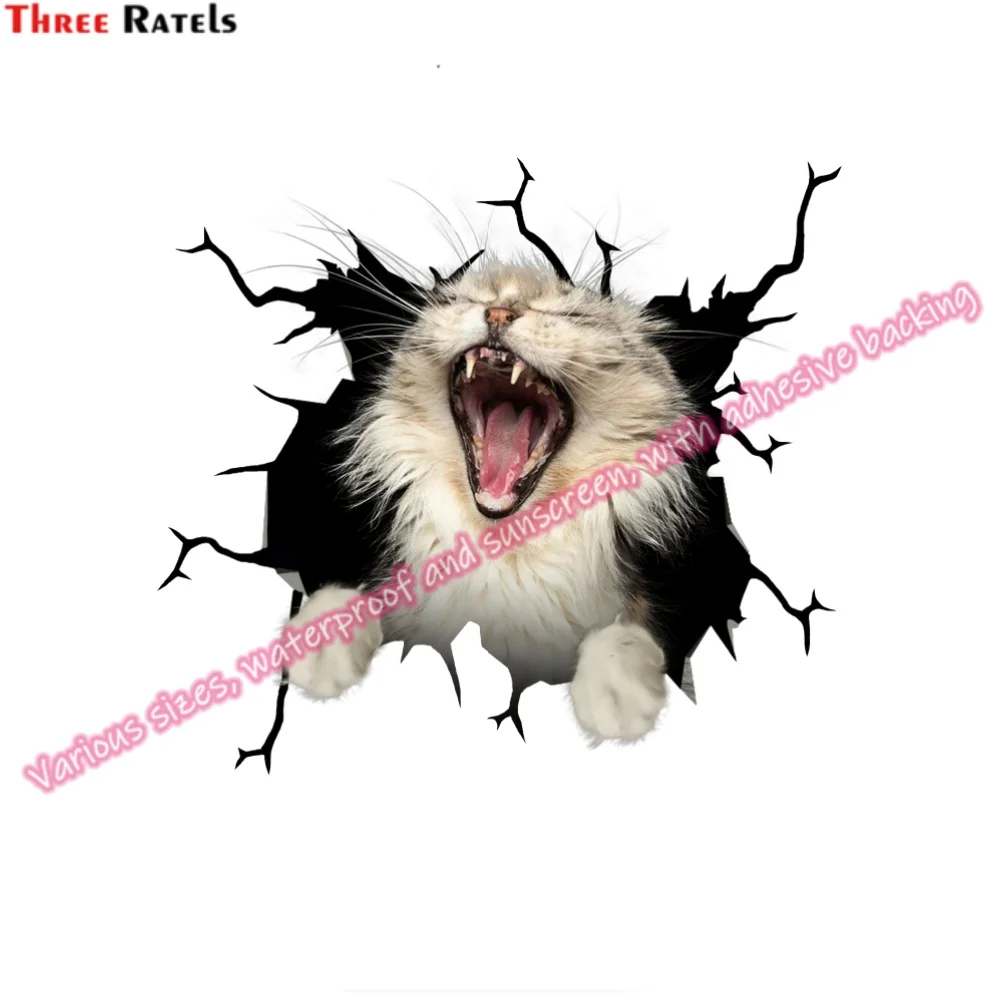 Три Ratels HA-0041 клейкие виниловые аксессуары для BMW F30 Opel Astra H мотоциклетные наклейки