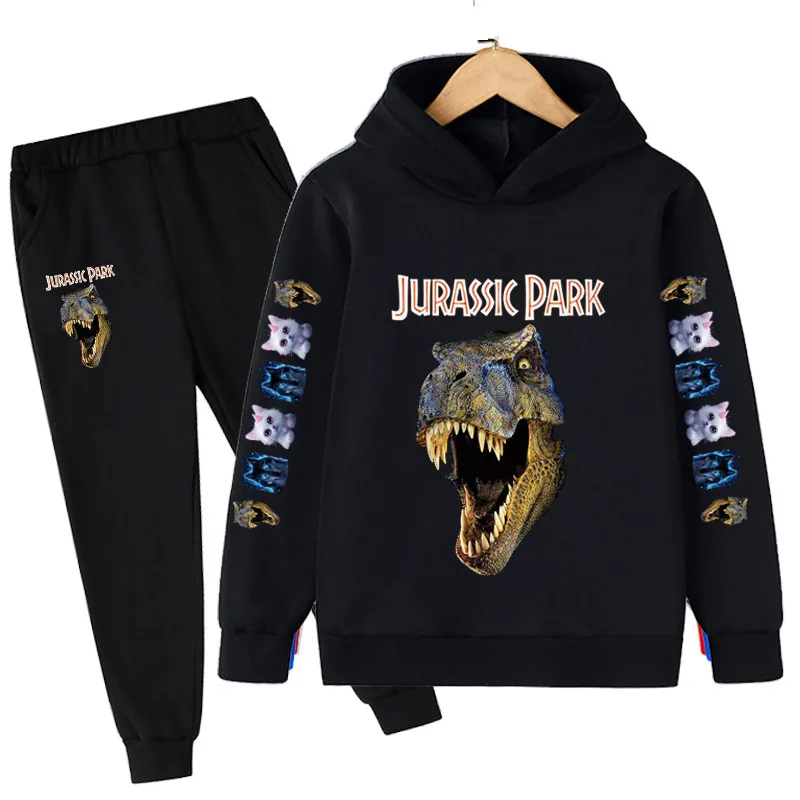 

Toddler Kids Baby Boys Dinosaur Hoodies Casual Clothes Sets Jurassic Park Long Sleeve Sweatshirt Tops Pants Outfit 2Pcs Set