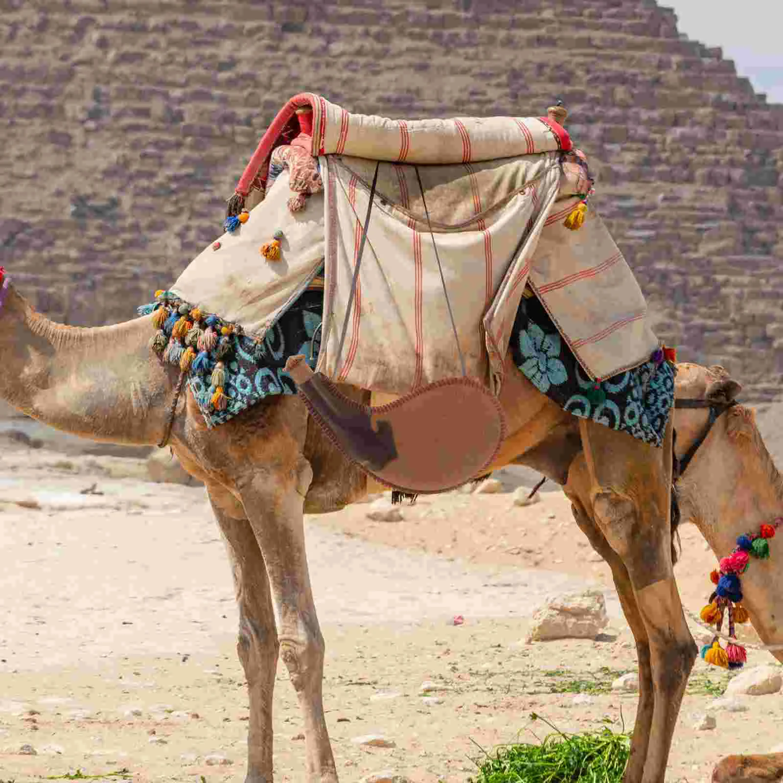 Древняя сумка для воды сумки бутылок дорожная бутылка хранение жидкости