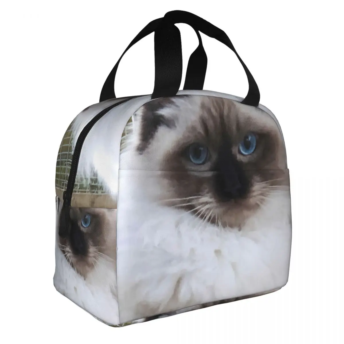 Kitten Ophur - Sitting Photograph Lunch Bento Bags Portable Aluminum Foil thickened Thermal Cloth Lunch Bag for Boys and Girls