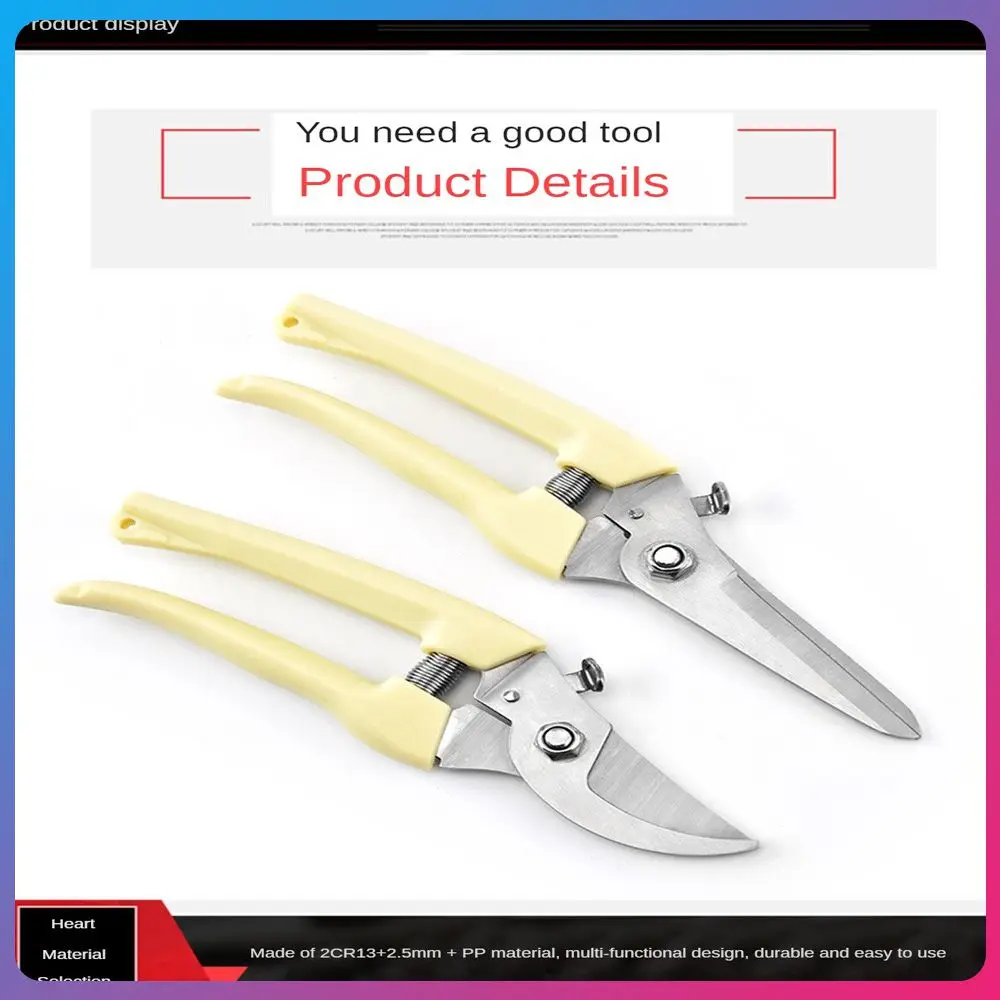 

Stainless Steel Garden Pruning Tools Shears Gardening Multifunctional Fruit Cutting Outdoor Landscape Convenient Beige Scissors