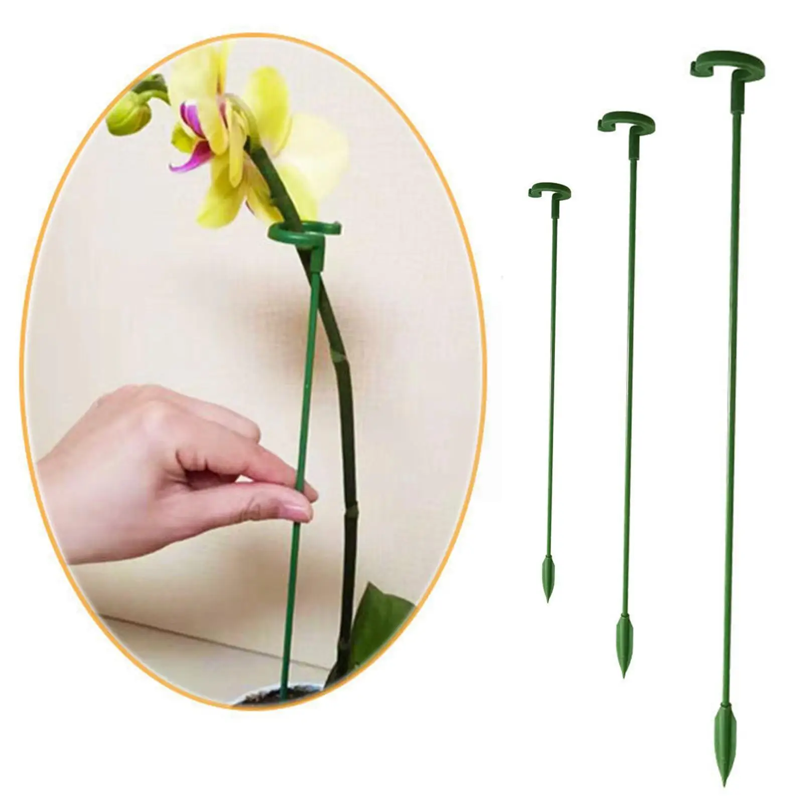 

5pcs Garden Plant Support Holder Vegetables Flower Vine Stem Stand Support Climbing Fixing Reusable Plant Rod To V7q2