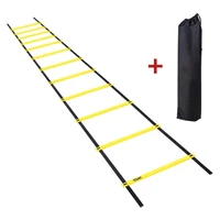 2 10m speed agility fitness training ladder footwork football 6 rung soccer straps