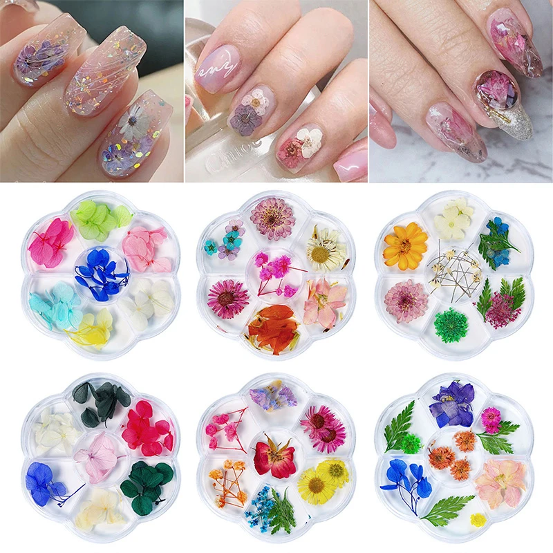 

1 Box Nail Dried Flowers 3D Gypsophila Sun Flower Dry Plants Floral Nail Jewelry For Nail Art Decorations DIY Accessories