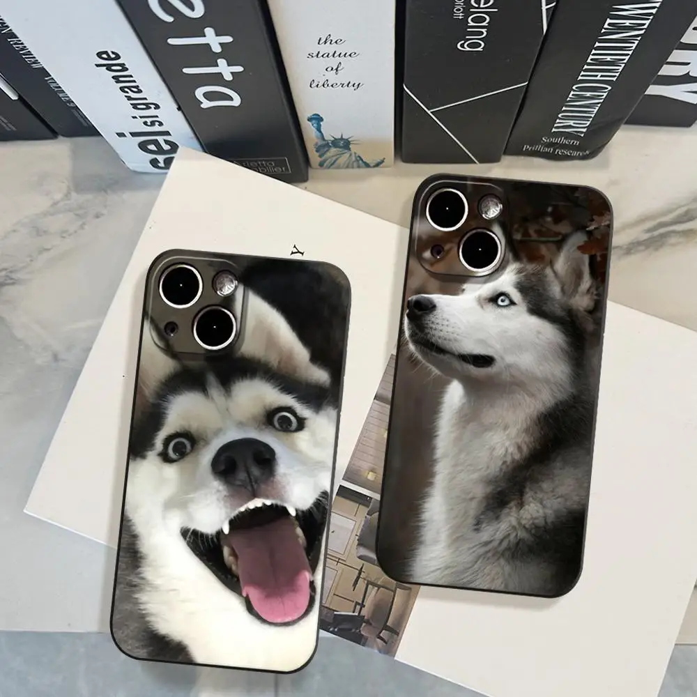 Фото Чехол для телефона с изображением собаки хаски для iPhone 17 Air 16 15 14 Plus 13 12 11 Pro Max 16e, противоударный, прозрачный, HD-качество №1