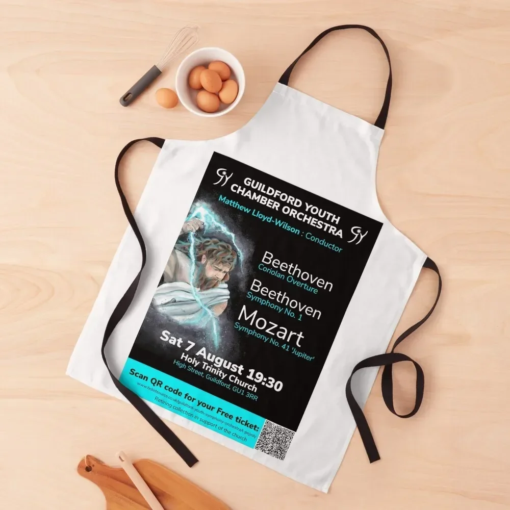 GYSO Юпитер плакат фартук японская женщина вещи для дома и кухни плотник