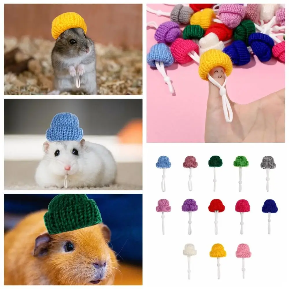 2 шт. теплые однотонные вязаные пальто для домашних животных |