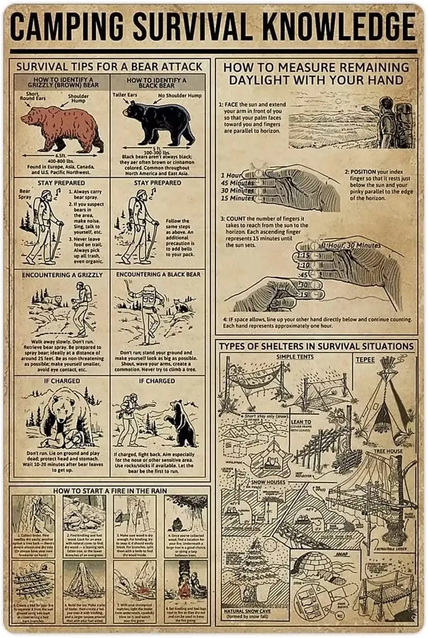 

Знания Chow, металлические жестяные знаки Chow Infographics, ретро плакаты, собака, энциклопедия, руководство, табличка, художественное оформление, офис