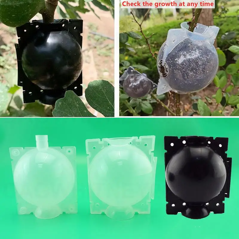 

20 шт., пластиковая коробка для выращивания корней фруктов