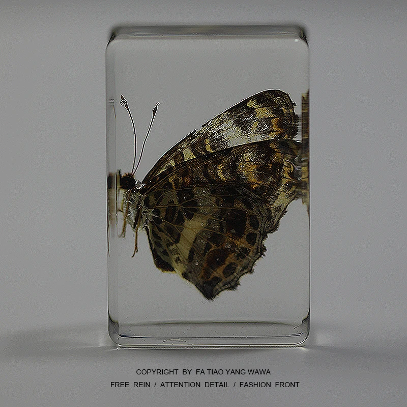 

Butterfly resin ornaments