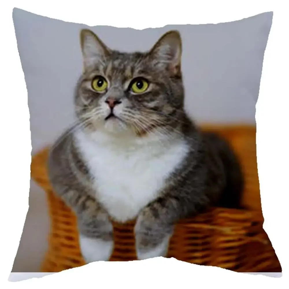 

Наволочка 45x45 см с котом из полиэстера