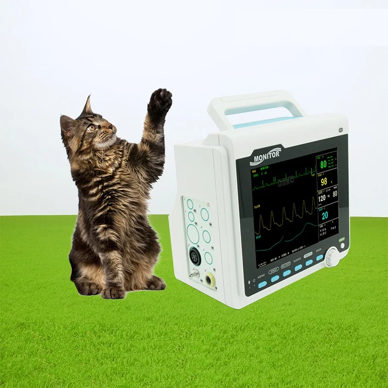 

8"TFT Color Lcd Portable Veterinary Animals Pet Cats And Dogs Blood Pressure Heart Rate Monitoring Accessories Monitor