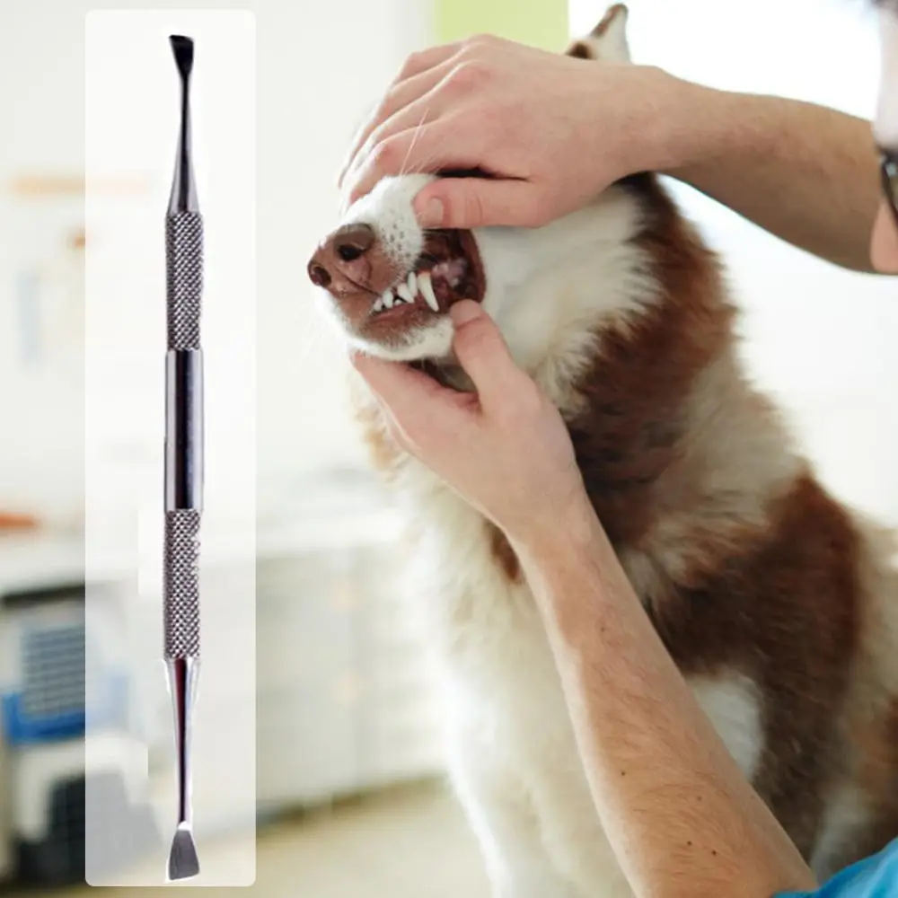 

Stainless Steel Dog Teeth Cleaning Tool Anti-rust Non-slip Handle Tartar Scraper Scaler Double Head Dental Calculus Remover