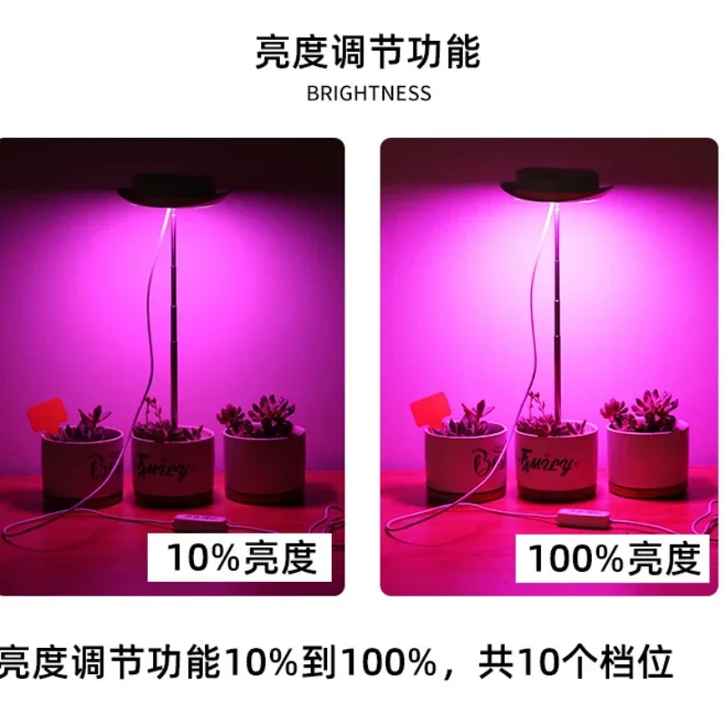 Фотолампа полного спектра с выключателем ВКЛ/ВЫКЛ для теплиц гидропонных