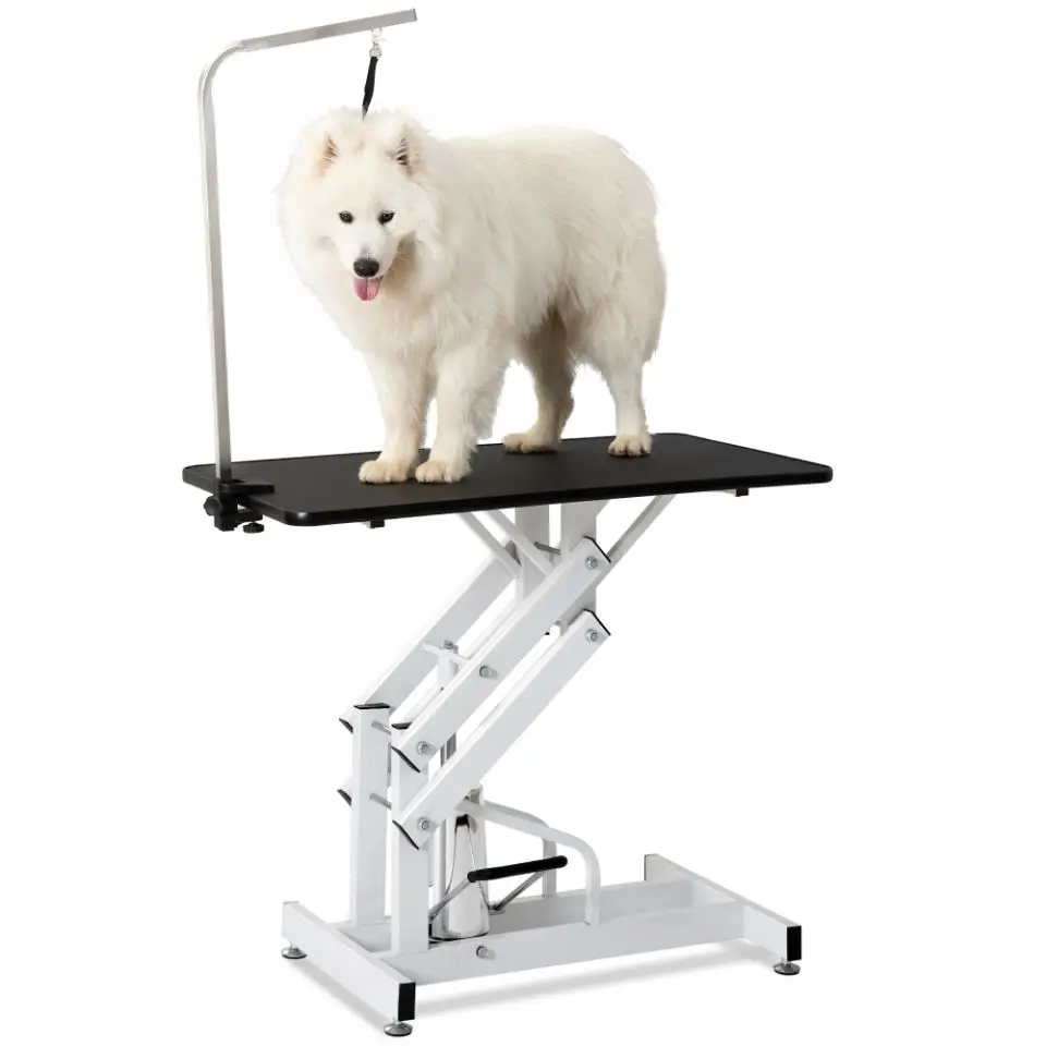 

Cheap Price Veterinary Equipments Portable Animal Hospital Pet Clinic Dog Hydraulic Grooming Table for Sale Plastic Stocked