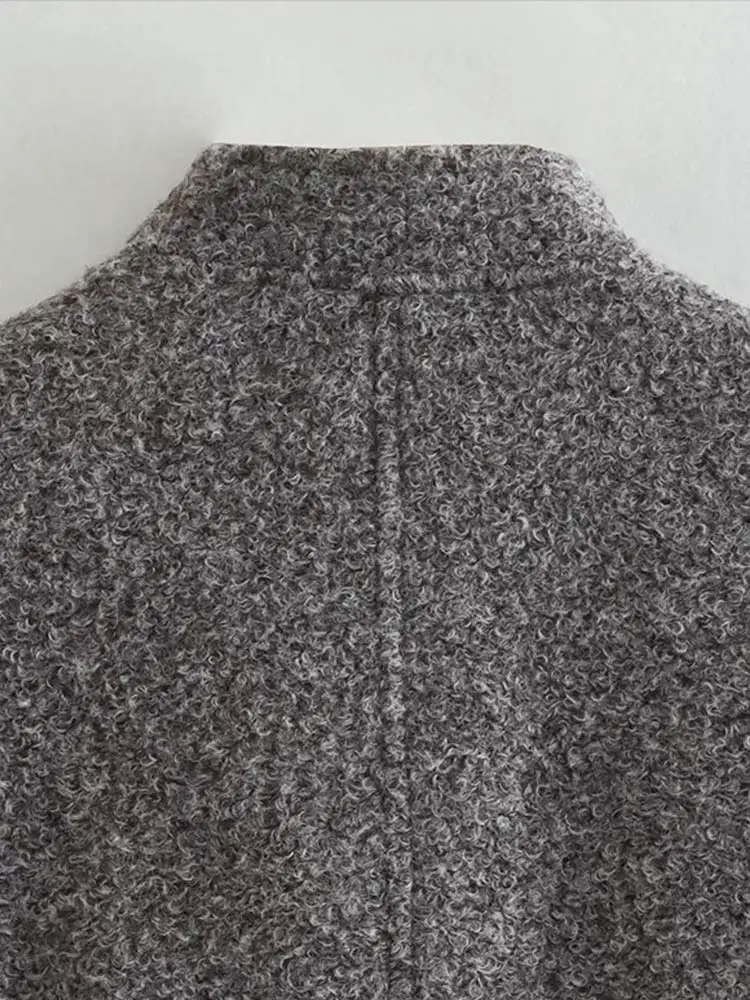 Women's Casual Loose Stand Collar Jackets 2023 Spring Warm Grey button Long Sleeve Bombers Fashion Plush Solid Female Outwear