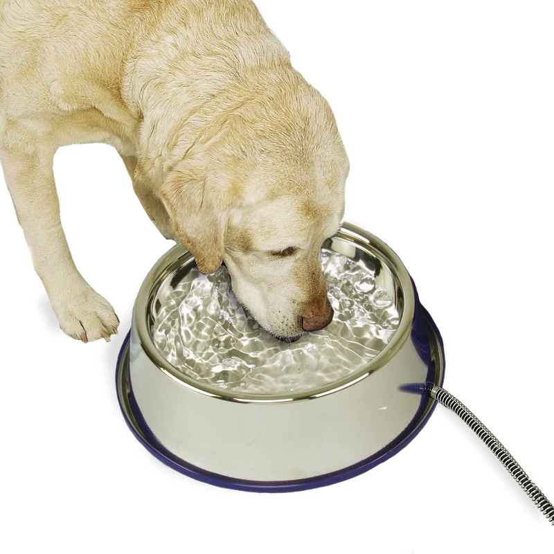 

Therma-Bowl Pet Bowl, 120 Oz, Silver