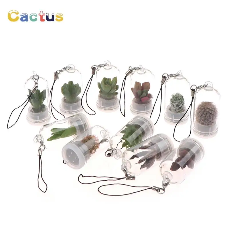 

Miniature Succulent Cactus Terrarium Wearable Necklace Live DIY Succulent Plant Pendant Random Style 2.5*5cm New