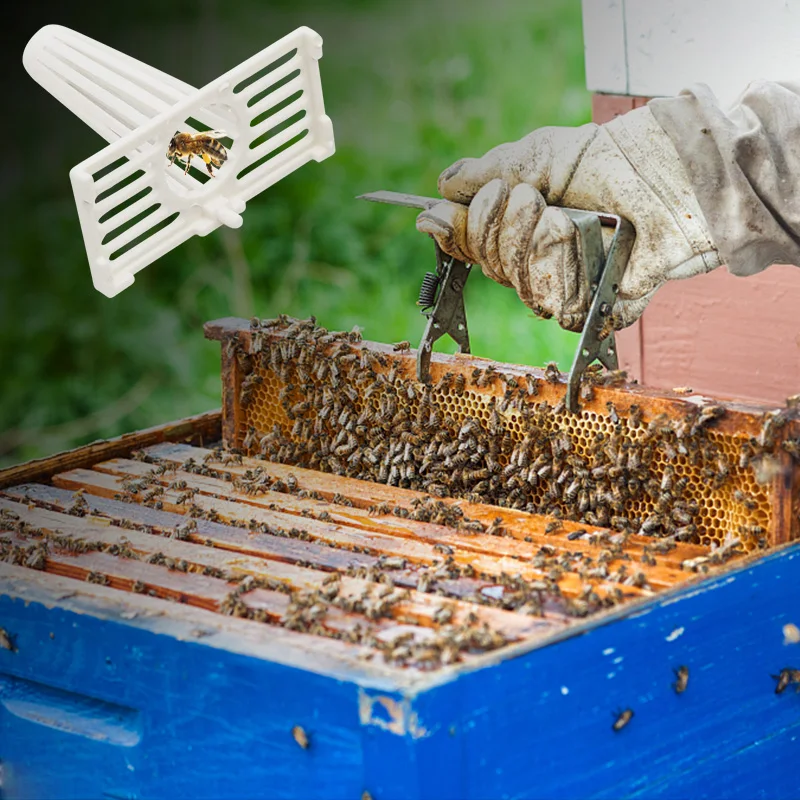 5 Pcs Plastic Anti-Theft Hive Door Security Honeycomb Doors Beekeeping Tools Beehive Nest Door Bee Pirates Beekeeping Equipment images - 6
