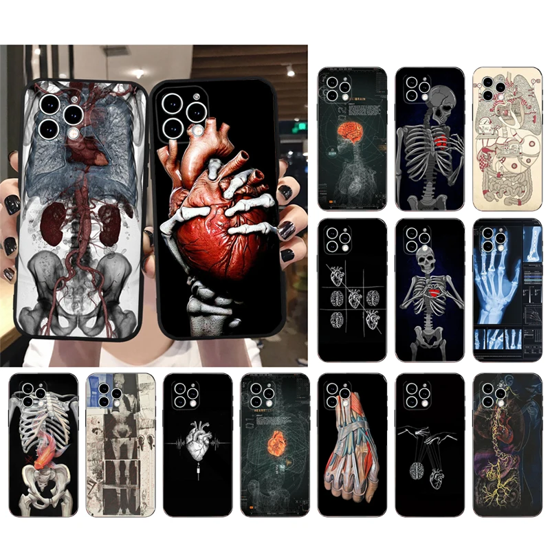 

Human Organs Skeleton Skull Brain Phone Case For iphone 14 Pro Max 13 12 11 Pro Max XS XR X 12mini 7 8 14 Plus SE Case Funda