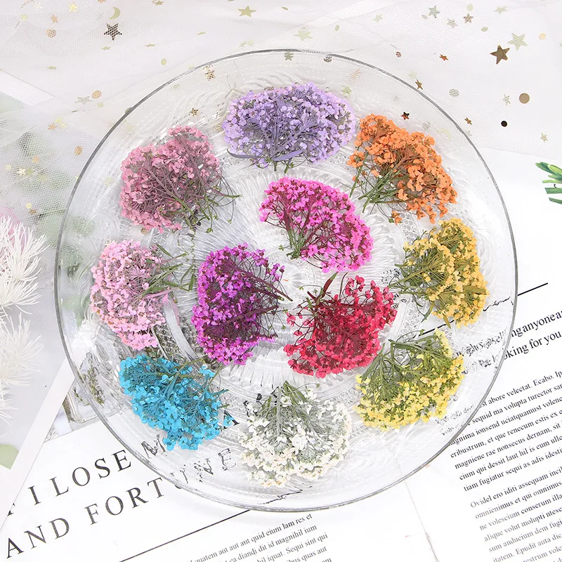 3-3 5 см/12 шт. настоящий сладкий цветок alyssum прессованный крашеный сделай сам