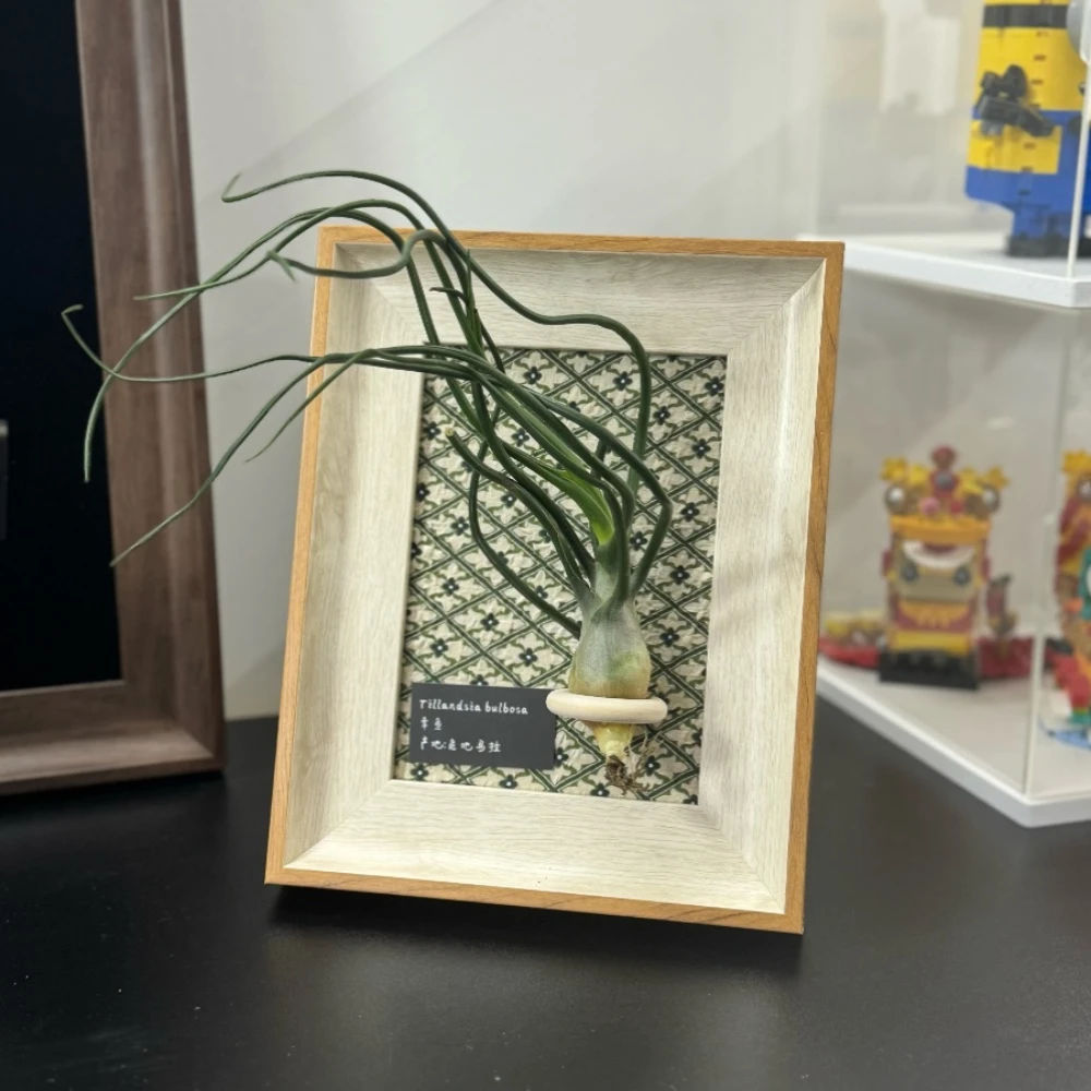 Декоративная фоторамка в виде ананаса для офиса Настольная фотографий дома кафе