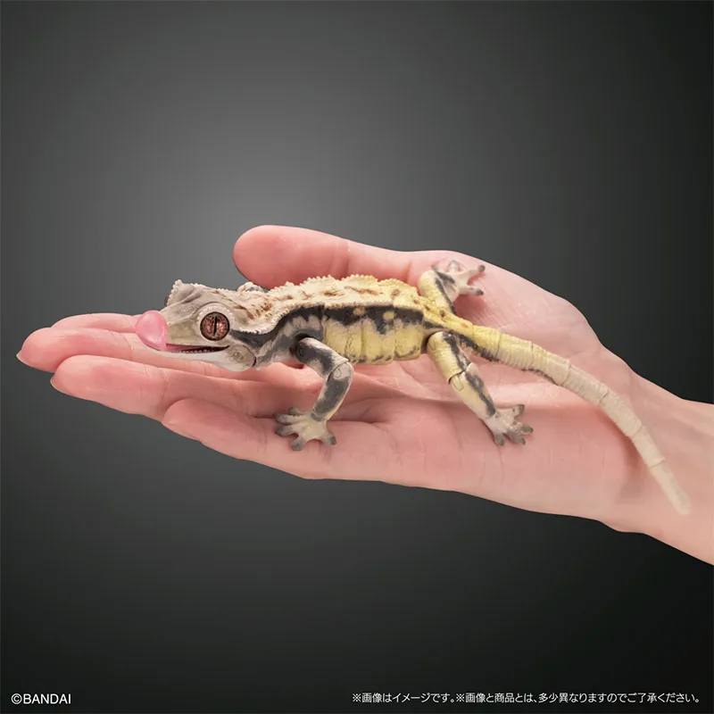 Bandai Gashapon биографическая энциклопедия Хохлатая собака Gecko 02 мобильный ползание