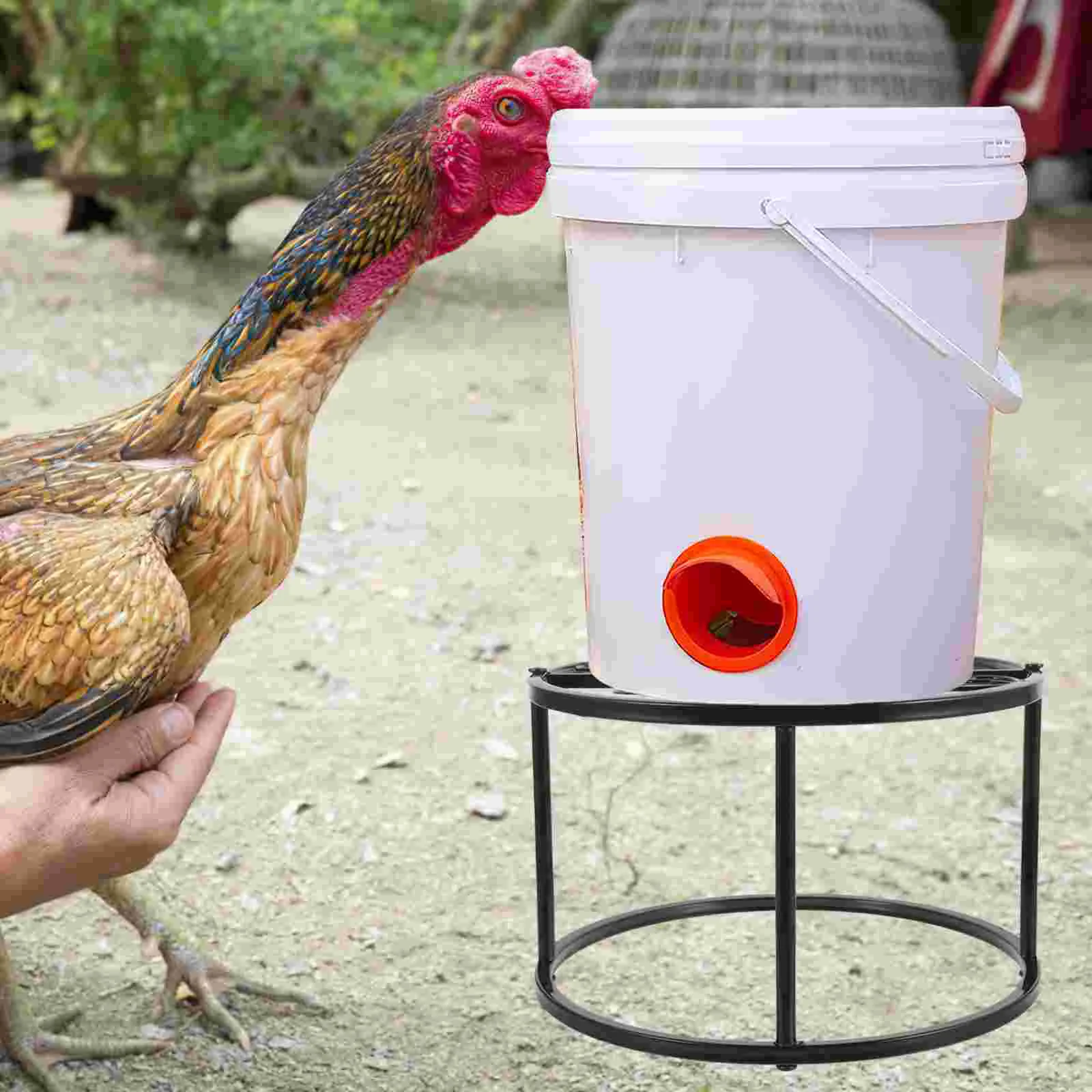 

Chicken Feed Feeder Support Poultry Coop Accessories Metal Waterer Holder Wrought Iron Fountain