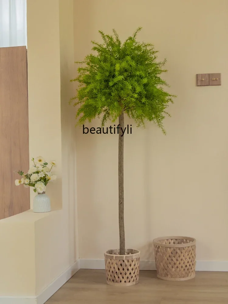 Искусственное зеленое растение искусственное дерево спаржа пол комнатное для