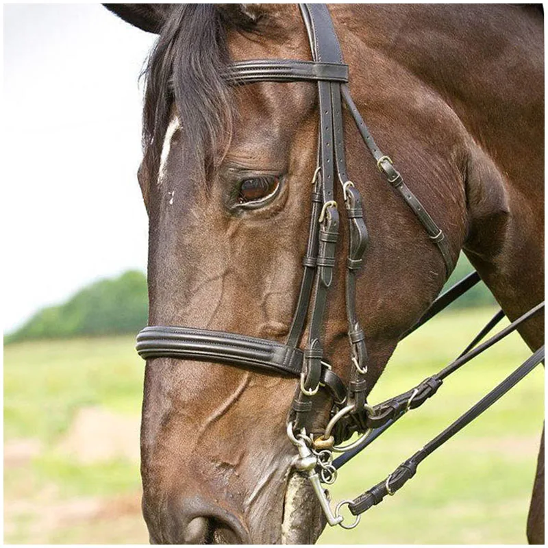 

3m Horse Reins Elastic Black Horse Neck Stretcher Horse Training Portable Beauty Tool Wear-resistant Equestrian Supplies