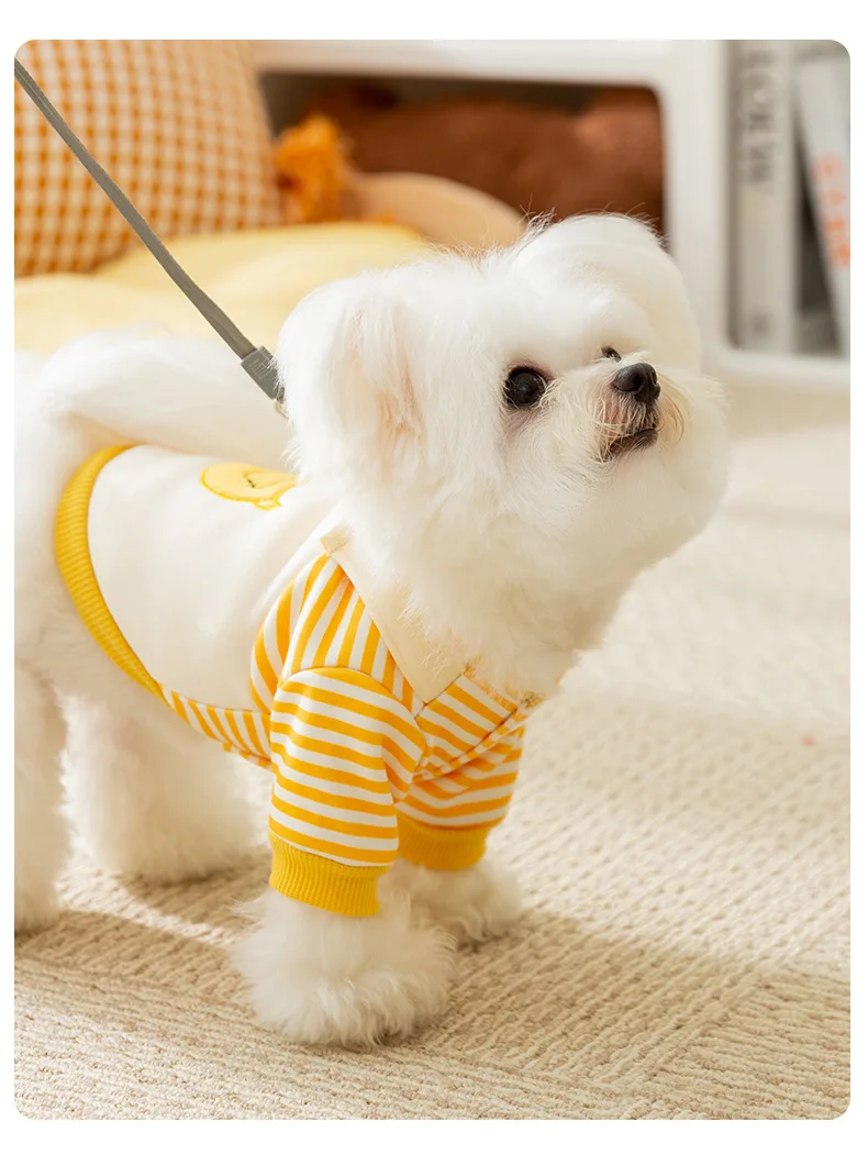 Новая милая осенне-зимняя полосатая толстовка с рисунком маленькой собаки в