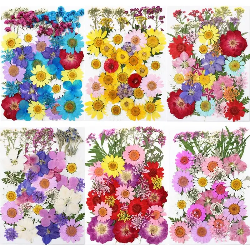 

40Pcs Real Dried Pressed Flowers Leaves Natural Chrysanthemum Daisy Decorative Materials for Petal Face makeup