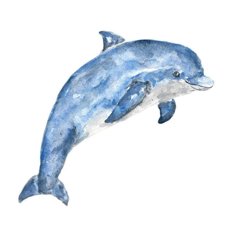 

13 X 11.8cm Creativity Car Stickers Anime Dolphin Car Body Decal Waterproof Vinyl Car Wrap Window Bumper Motorcycle Decoration