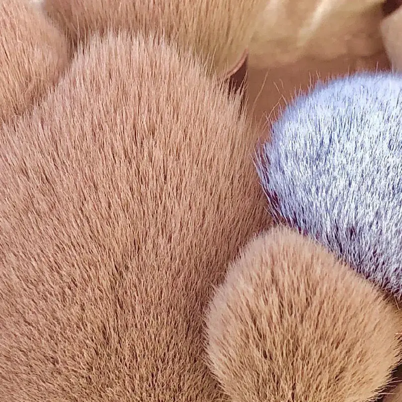 Набор портативных дорожных кистей для макияжа 8/9/10/12 шт