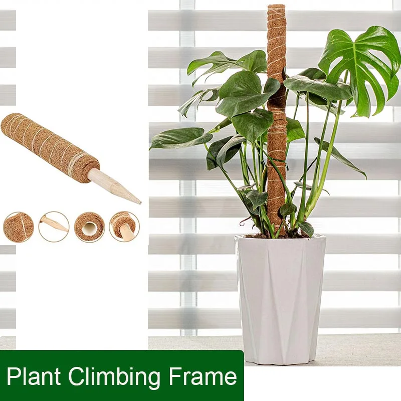 

Garden Plant Stand Climbing Frame Vine Coconut Palm Rod Can Be Bent and Shaped Plants Support Stretching Poles Plant Growth