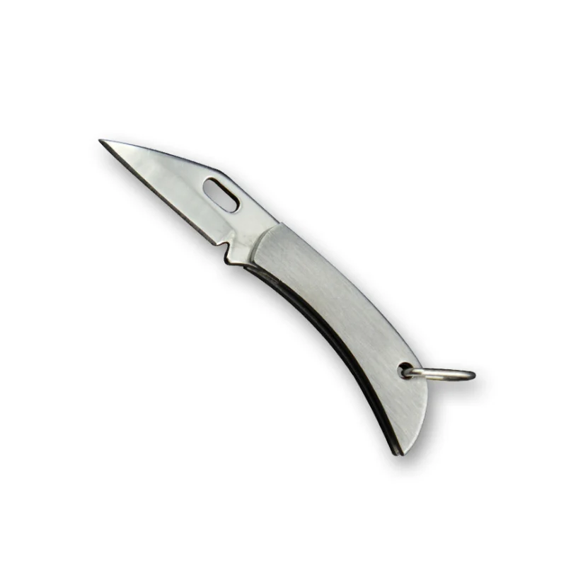 

Stainless steel Mini Folding Knife Keychain EDC Pocket knives Utility Portable Courier Unboxing Knife Outdoor Survival Tools
