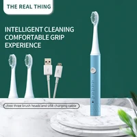 automatic sonic electric toothbrush for adult portable rechargeable timer toothbrush waterproof ultrasonic whitening teeth brush