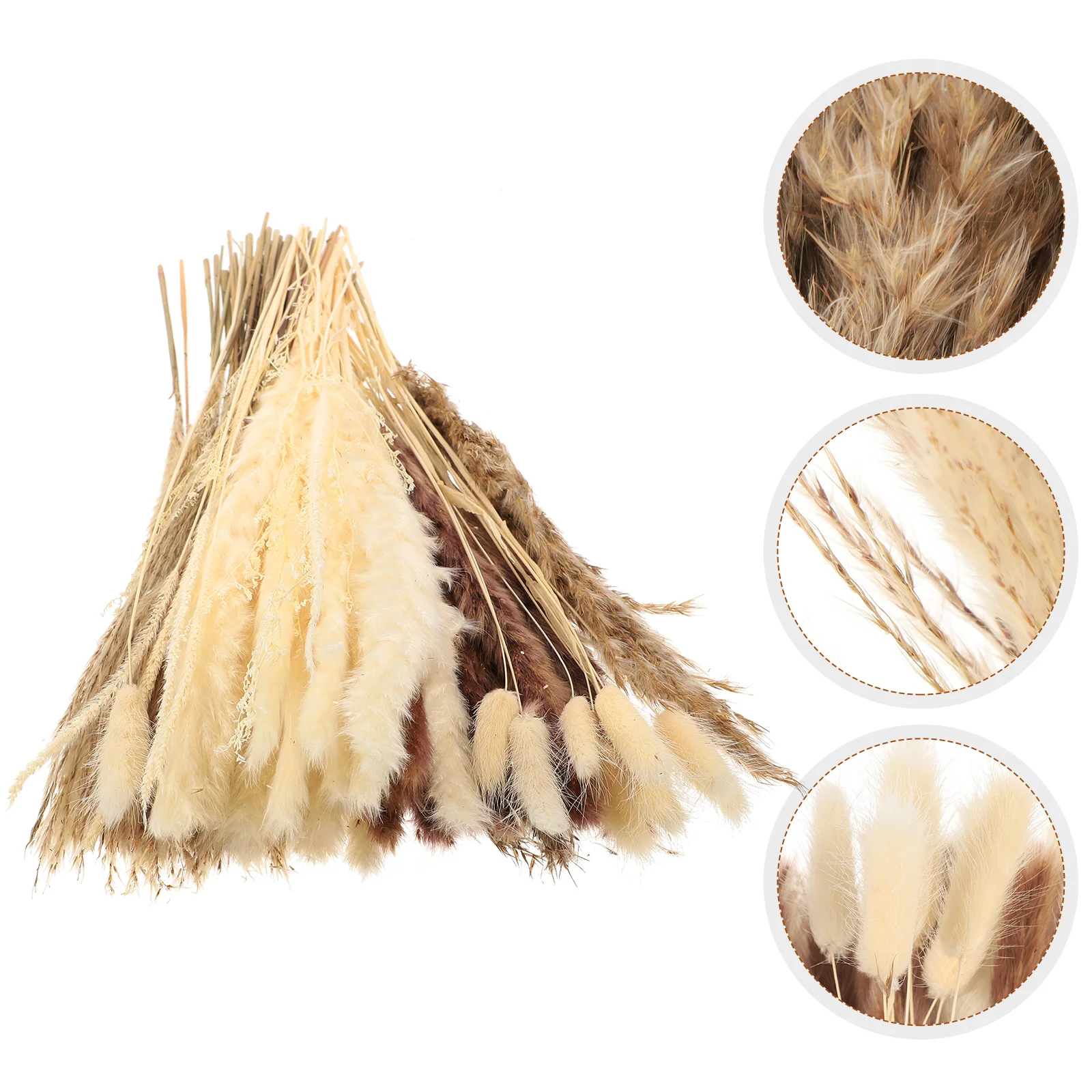 

Dried Pampas Grass Bouquet Flower Decor Flowers Wedding Diybunny Props Eternal Reed Preserved Layout Vase Landscapearrangement