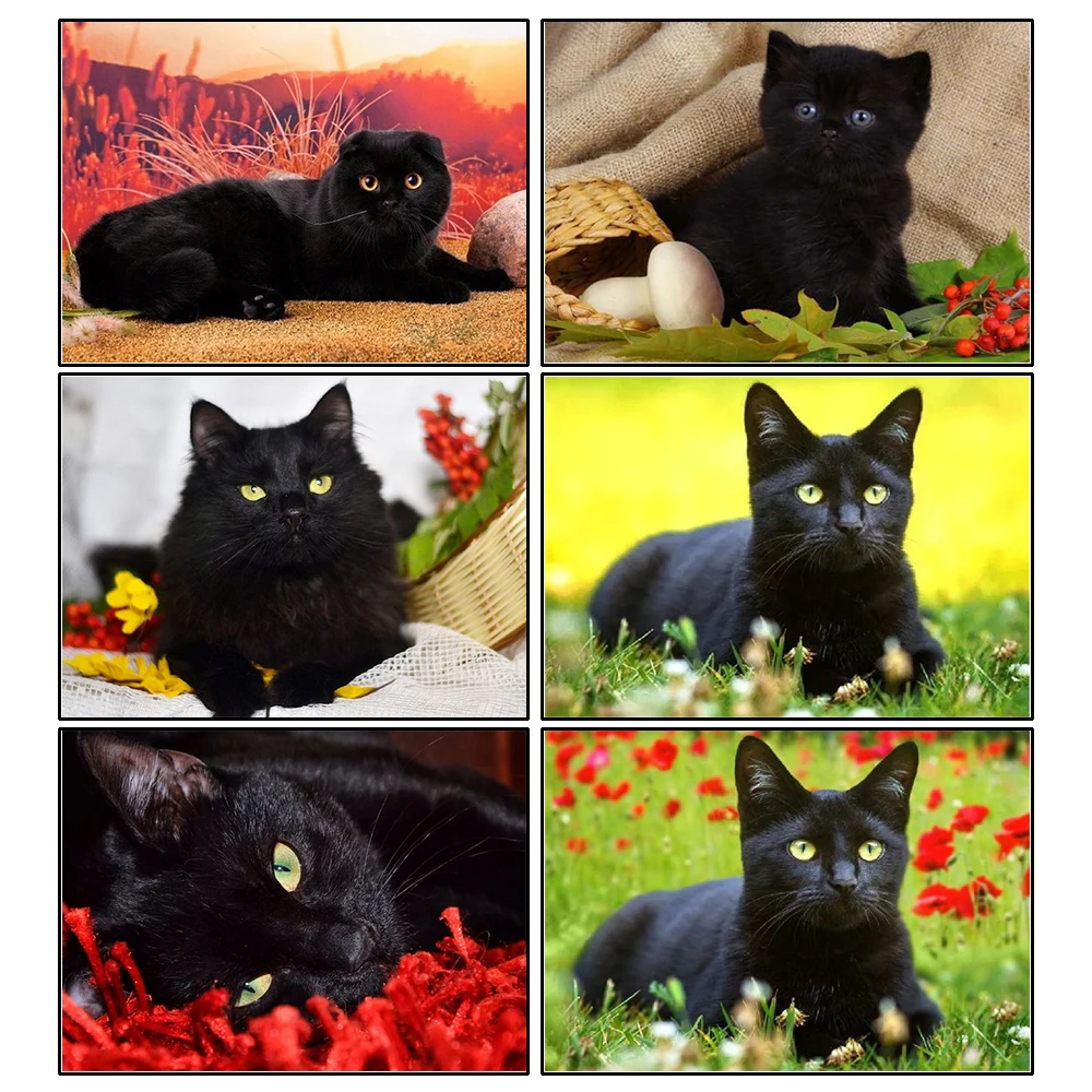 

Diamond Painting Kit Black Cat Animal Diamond Embroidery Mosaic Handmade Picture Of Rhinestones Gift Home Decor 5d Diy