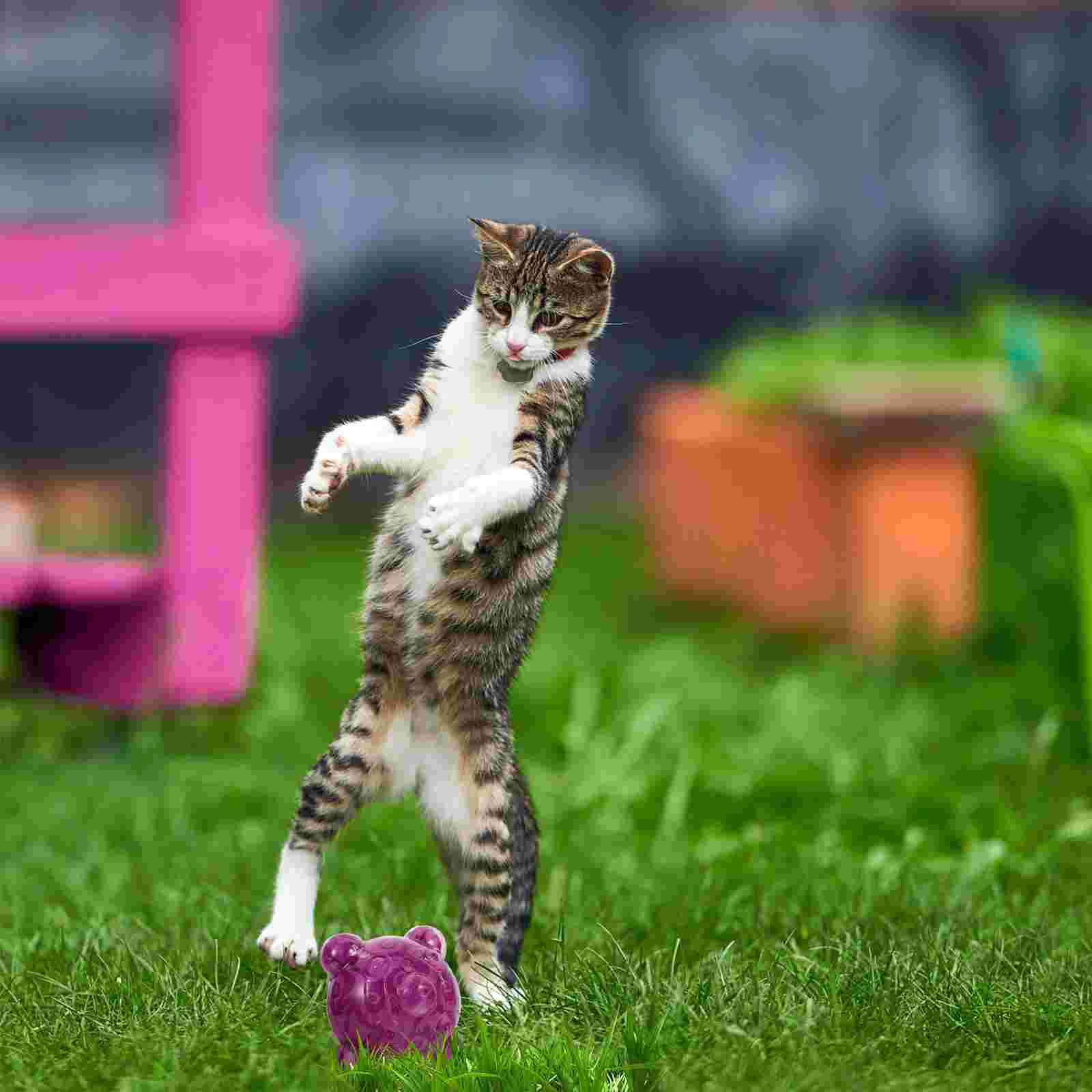 Очаровательная игрушка для кошек синие игрушки Санта-Клауса жевательные шарики