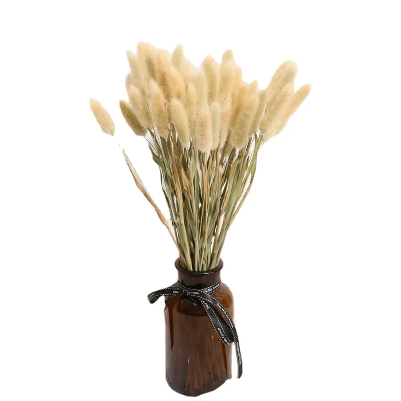 

Primary color rabbit tail grass true flower dried flower bouquet home furnishing decoration DIY flower material