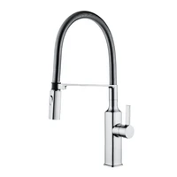 sink tap filter brass pull down two function kitchen water tap