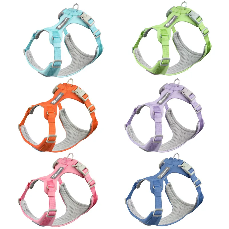 

New Macaron Korean Style Japanese Small and Medium-Sized Dogs Pet Supplies Summer Dog Leash Collar Hand Holding Rope Chest Strap