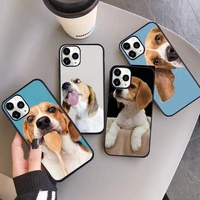 beagle dog phone case for iphone 13 12 11 mini pro xs max 8 7 6 6s plus x se 2020 xr