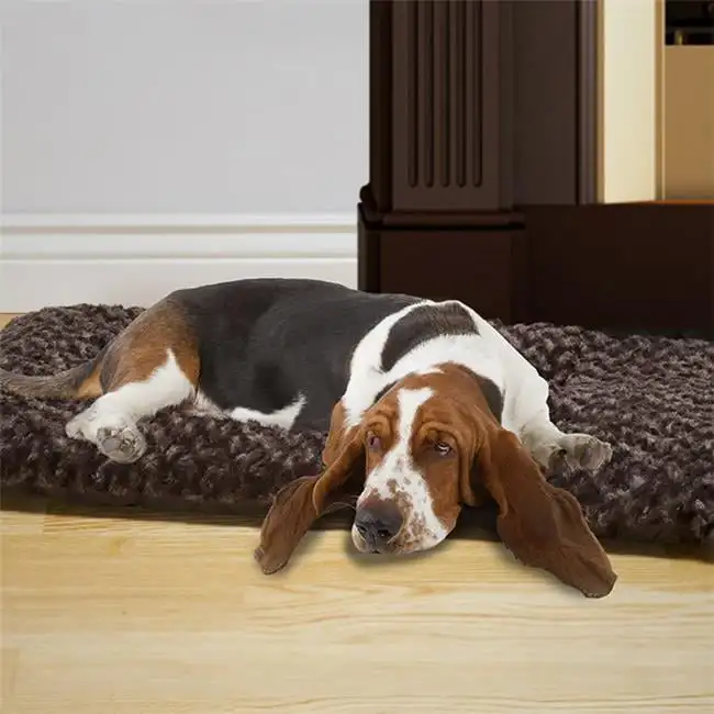 

Cushion Pillow Dog Bed, Brown/Chocolate, 26"L x 42"W x 3.50"H