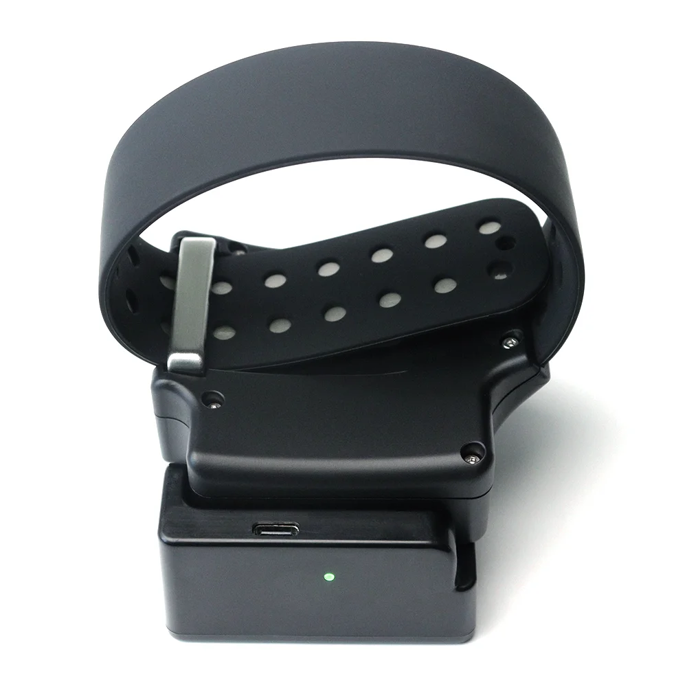 Portable charging OEM geofence GPS bracelet 4G tracker for prisoner enlarge