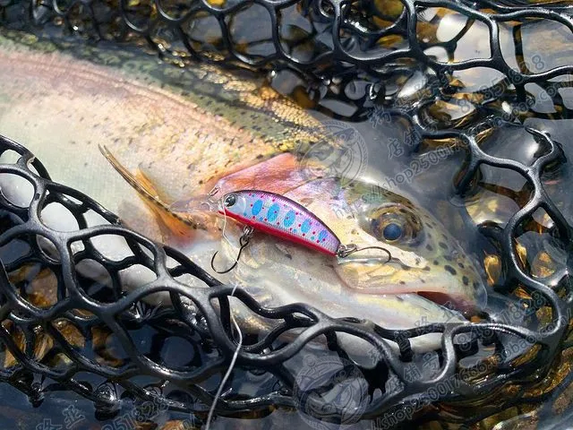 

Японская глубокая длинная пластина для языка IMA SUKARI 37S погружной микро Mino 3g Наклонный рот Junfish Stream